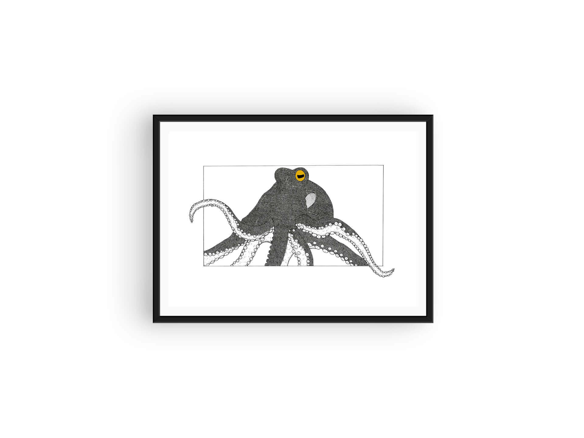 Octopus - Print | Kumo