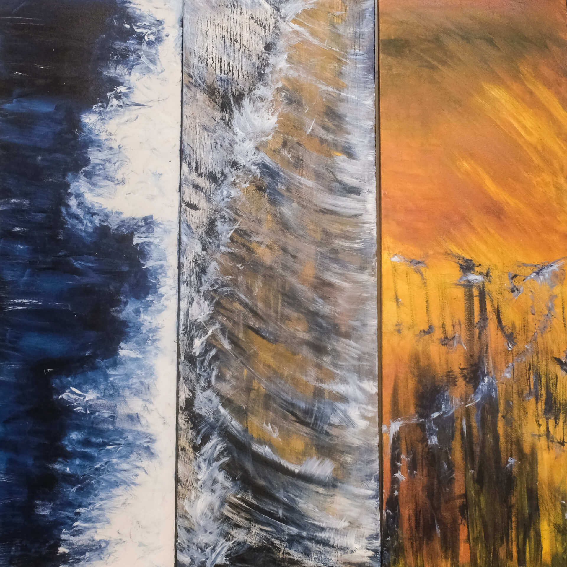 COSMOGONIA | SIR Cenote