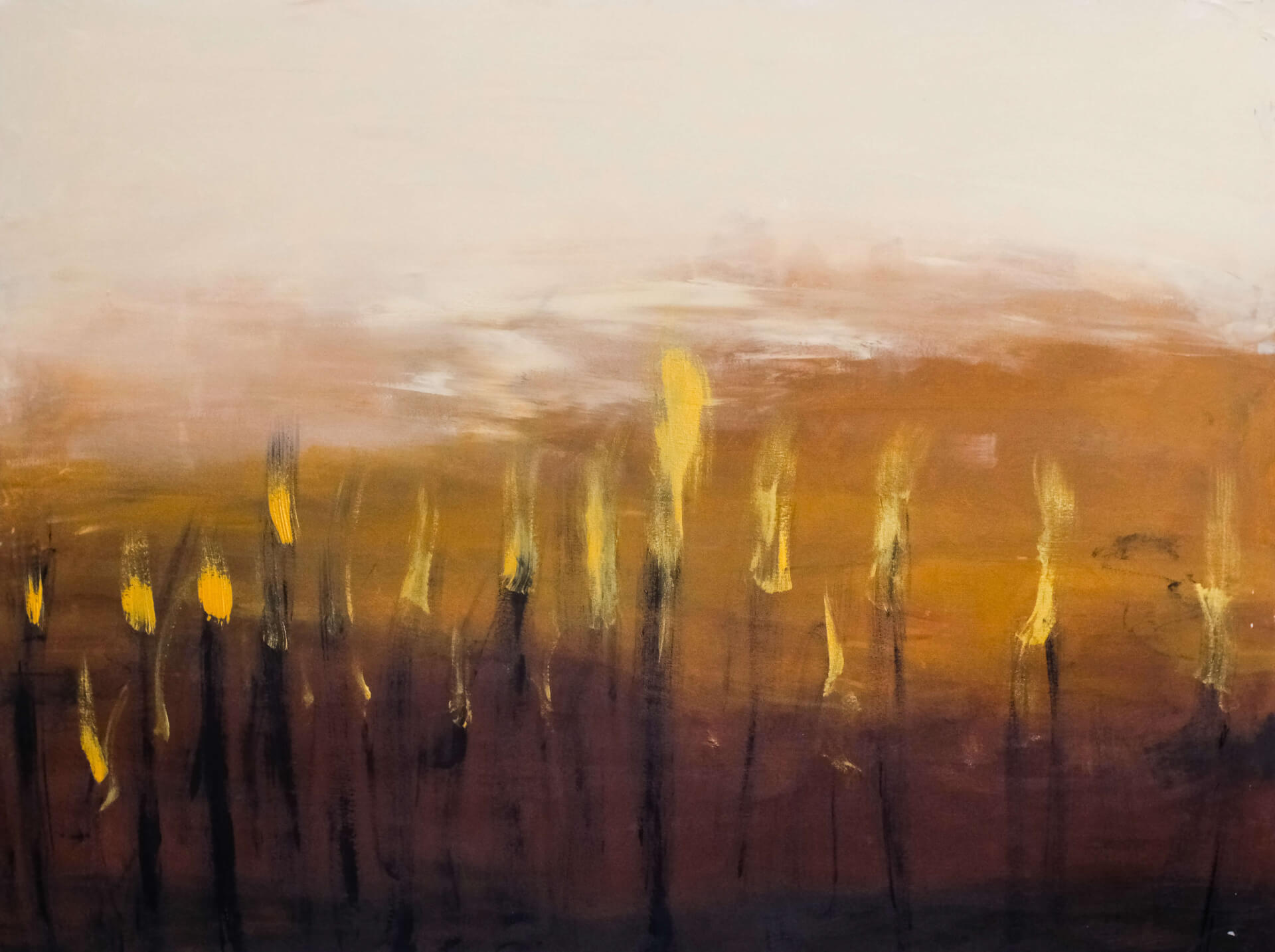 ALGA NEBBIOSA | SIR Cenote