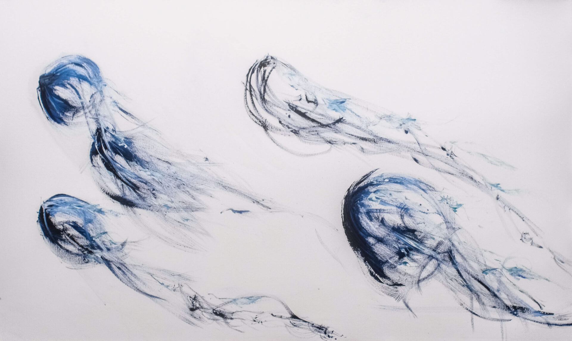 IL SEGNO | SIR Cenote