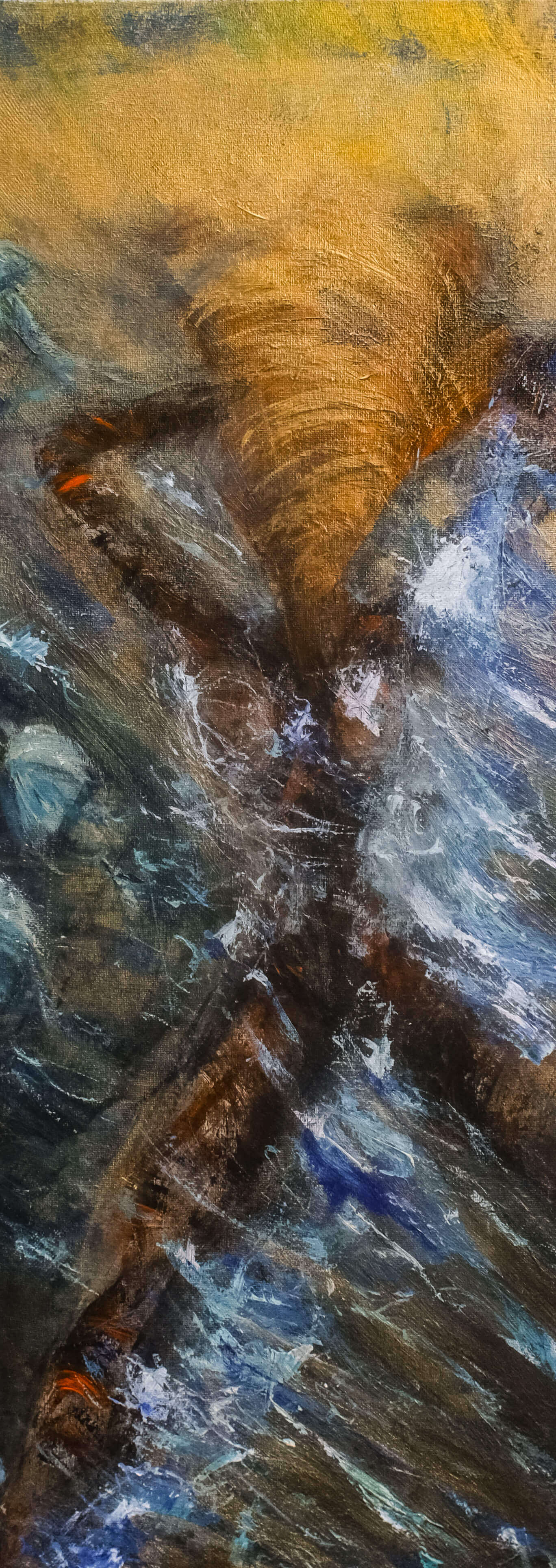 ERUZIONA | SIR Cenote