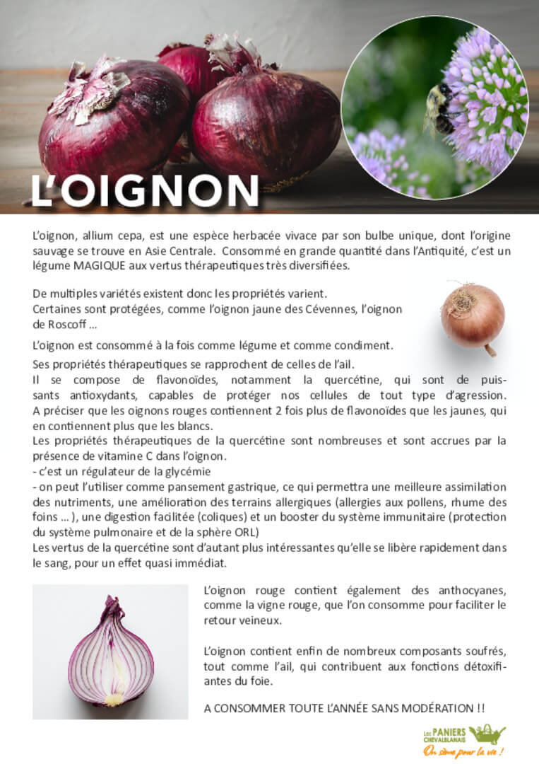 Fiche Oignon | AEQV