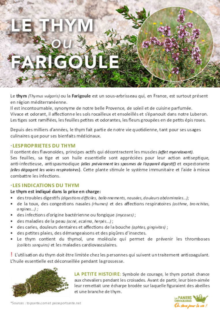 Fiche Thym | AEQV