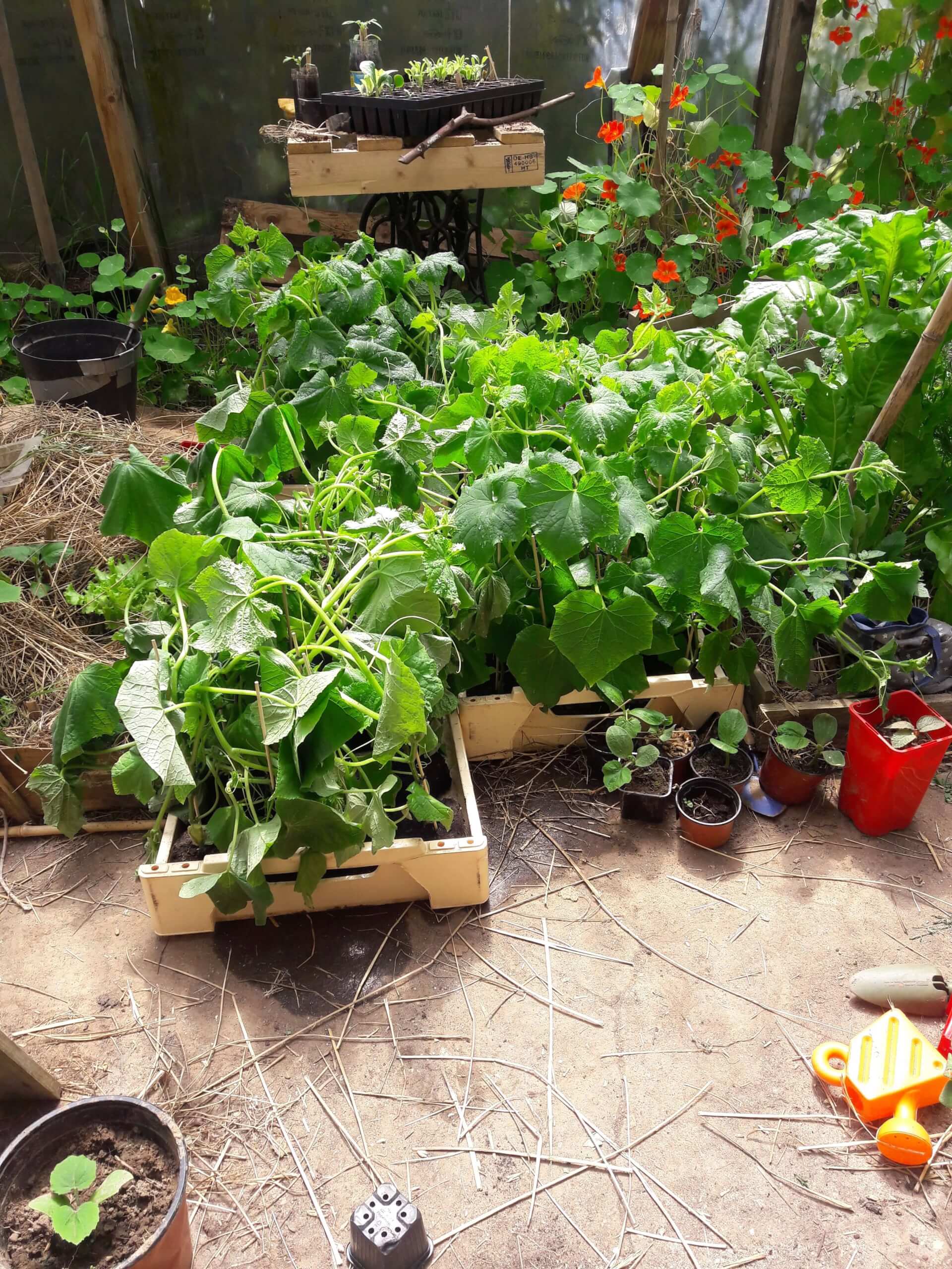 Skoazell Diwan Plougerne