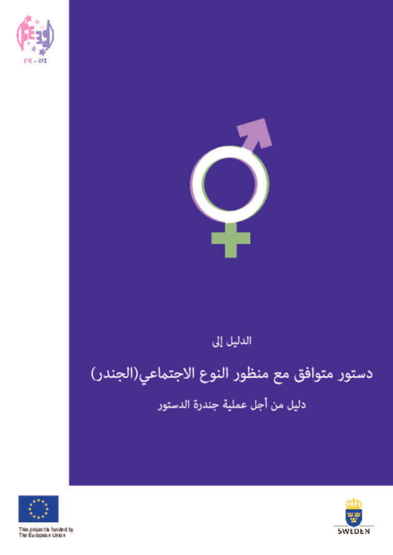 الدليل الى دستور متوافق مع منظور النوع الاجتماعي | EFI - EuroMed Feminist Initiative