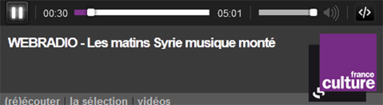 La dame de Damas | Babelmed