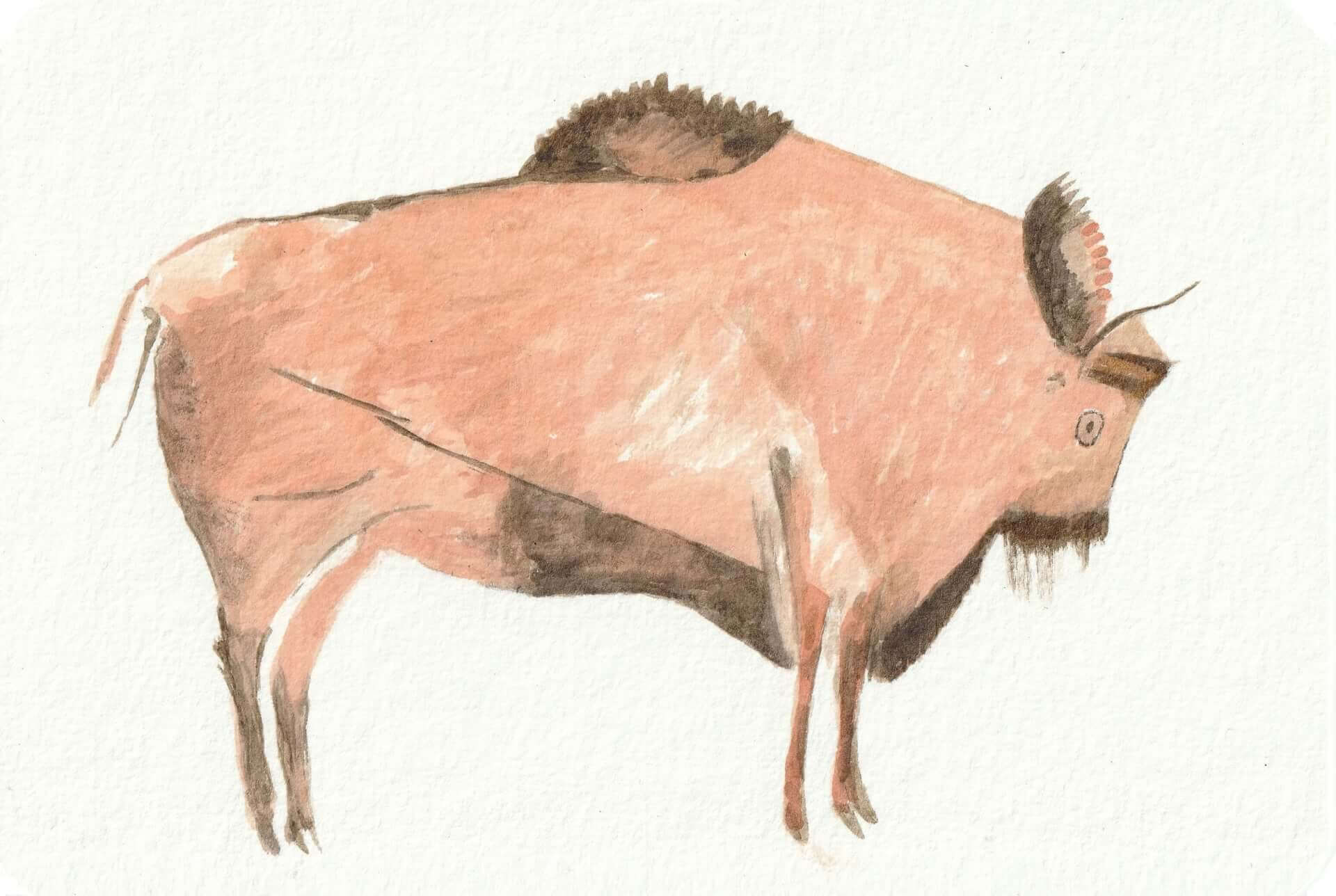 Cueva de Altamira : bison | christophe-henry