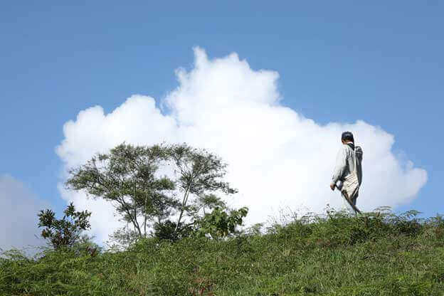 From Paraguay to Italy: Development at All Costs | Forus