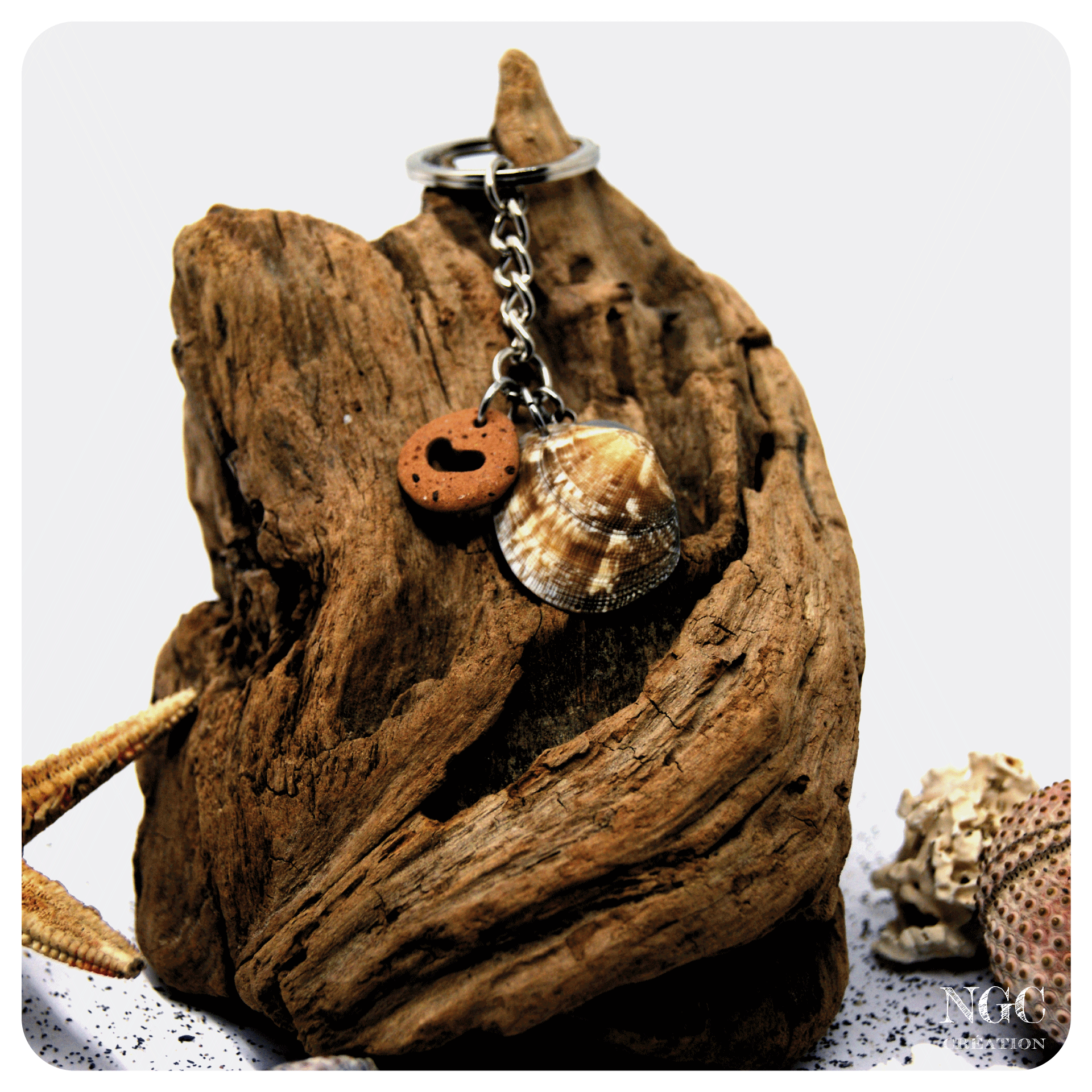 Coeur de coquillage #9 | Ngc Création