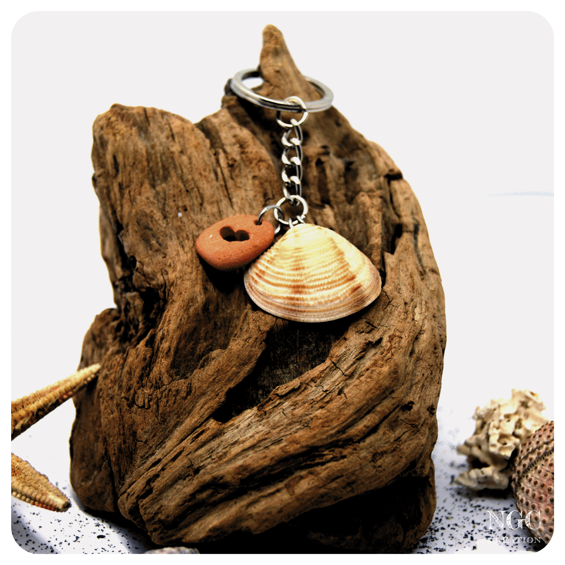 Coeur de coquillage #6 | Ngc Création
