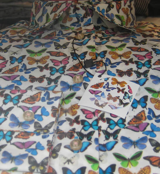 Butterflies... | Babelmed