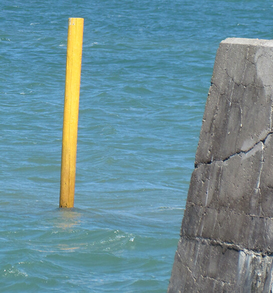 Yellow... | Babelmed