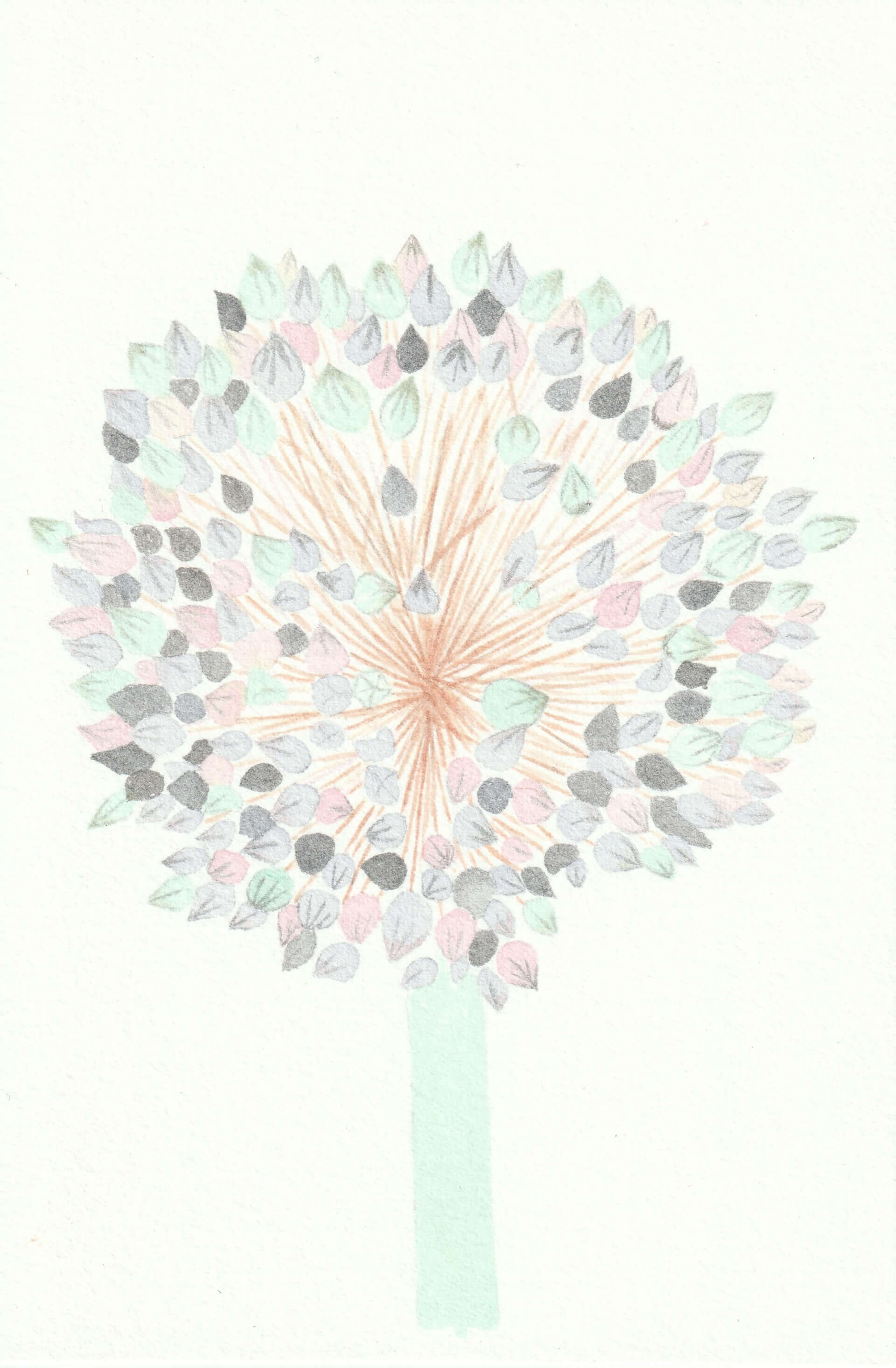 Poireau | christophe-henry