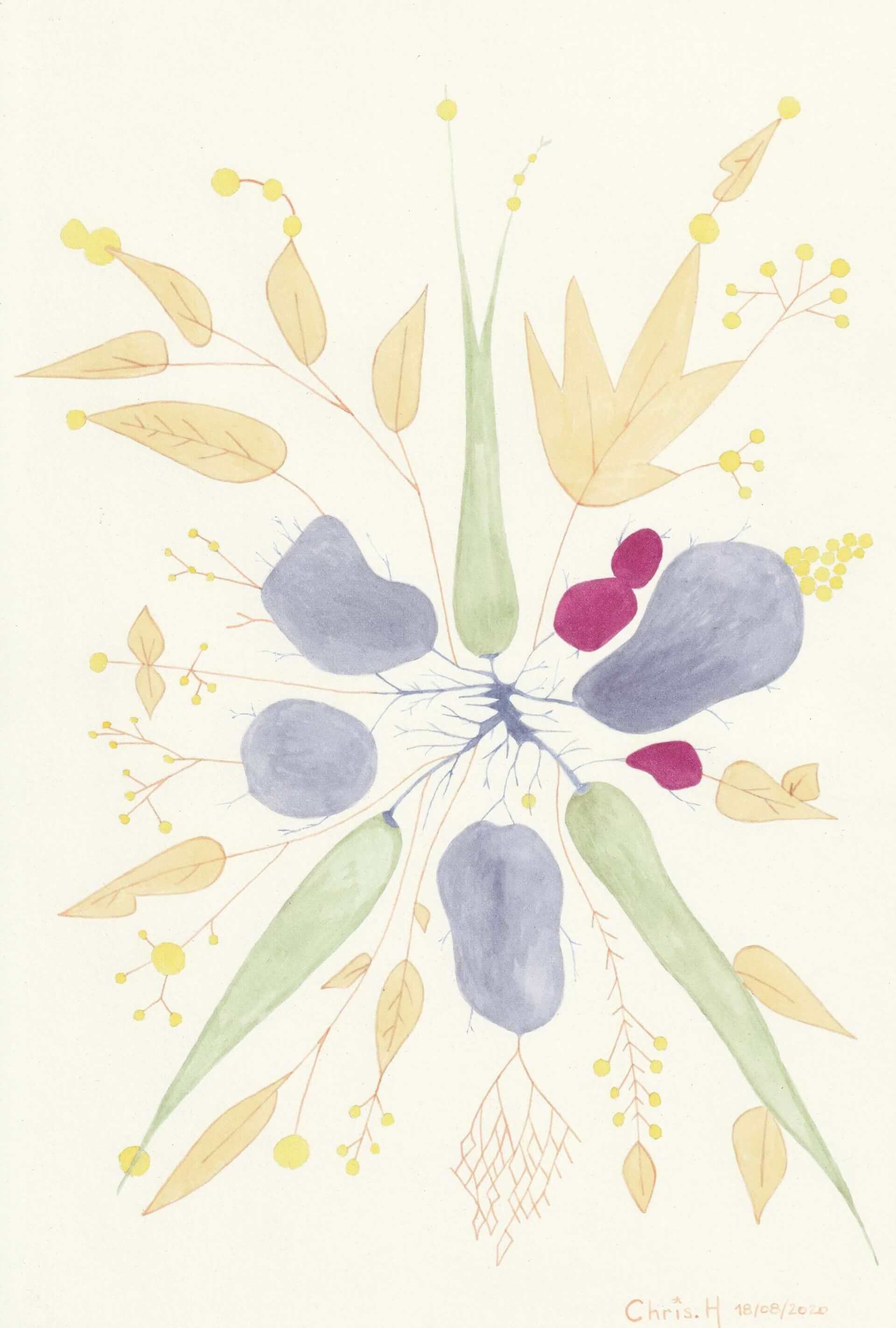 Quelles plantes pour la peinture végétale ? | christophe-henry