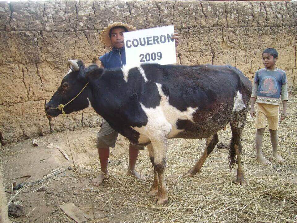 Le Lémurien - Maison de Madagascar
