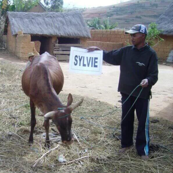 Le Lémurien - Maison de Madagascar