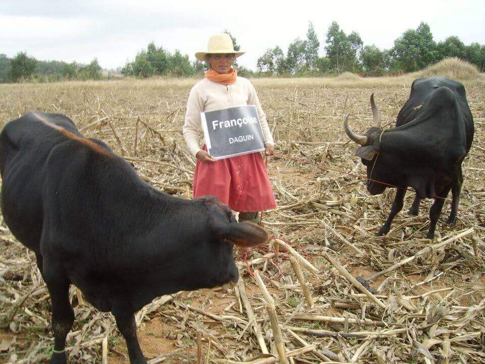 Le Lémurien - Maison de Madagascar