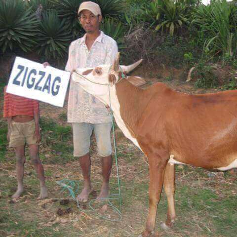 Le Lémurien - Maison de Madagascar