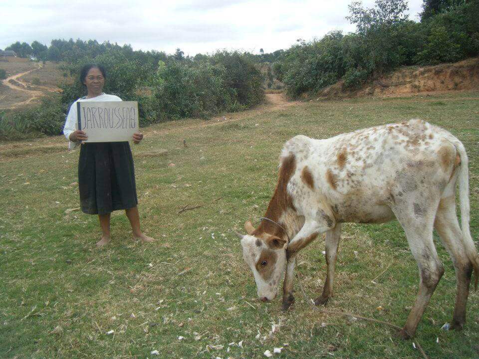 Le Lémurien - Maison de Madagascar