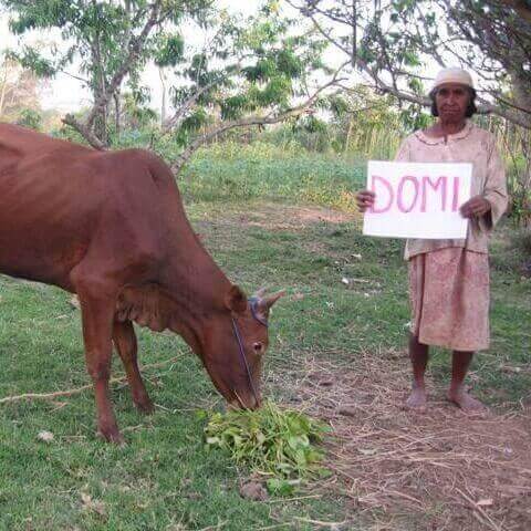 Le Lémurien - Maison de Madagascar