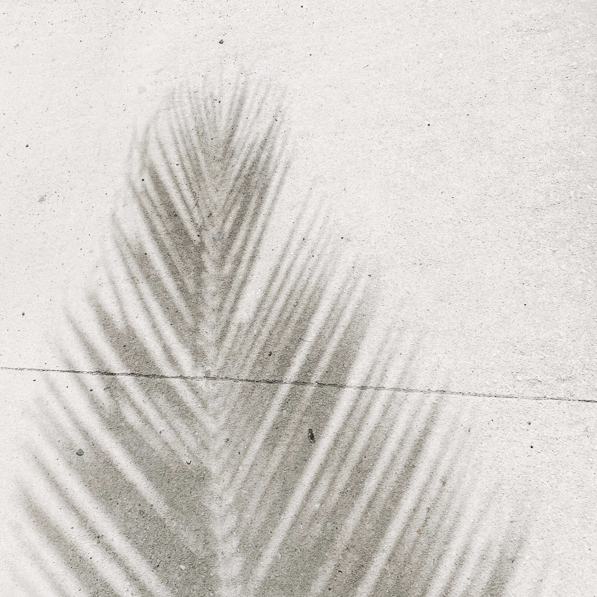 Le Lémurien - Maison de Madagascar