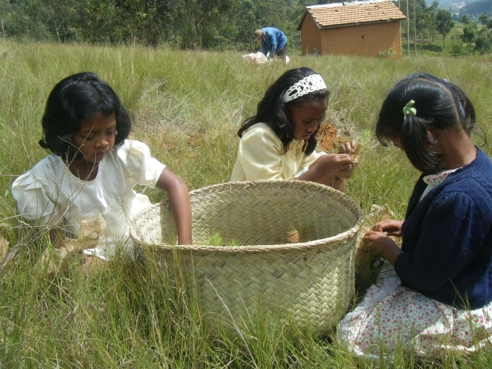 Le Lémurien - Maison de Madagascar