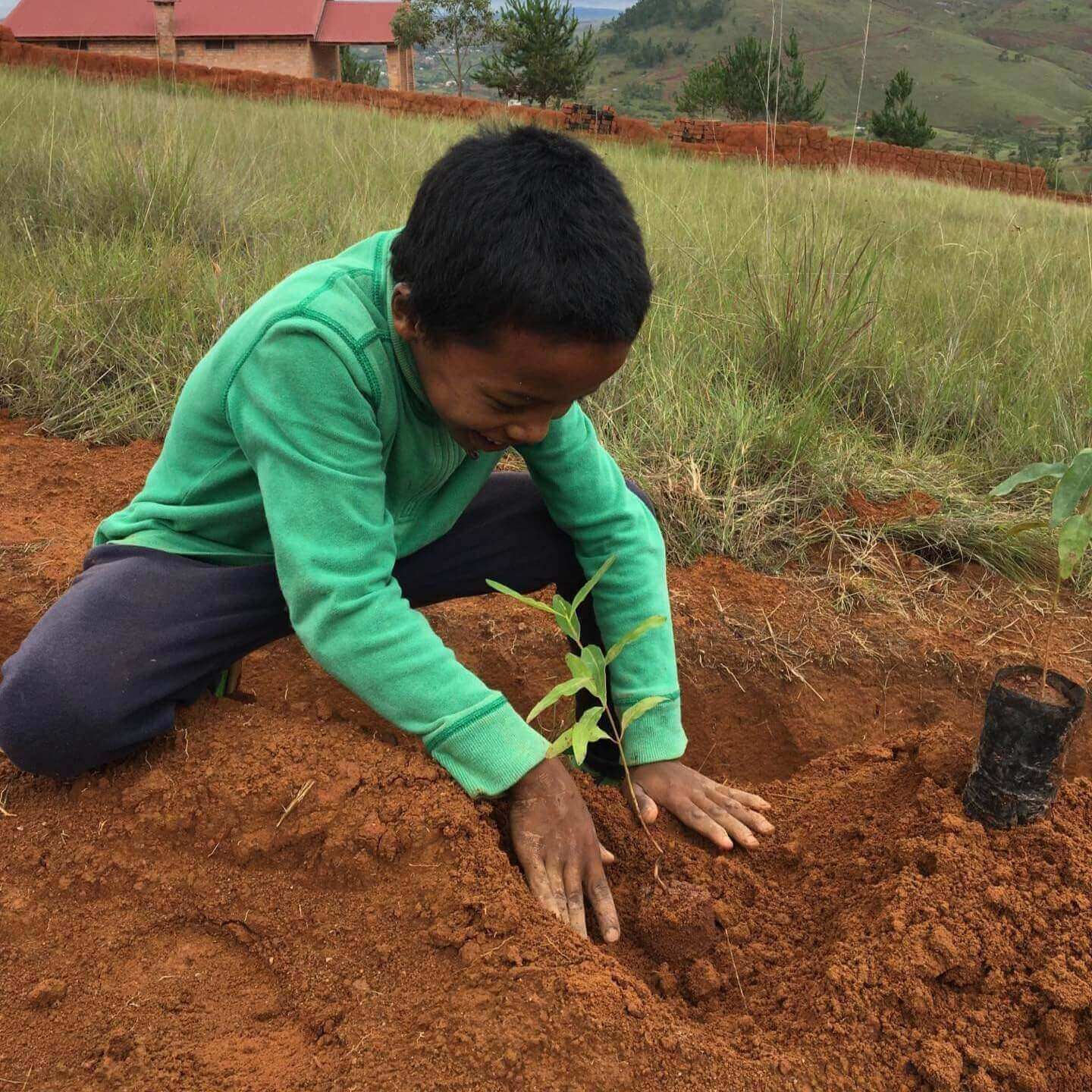 Le Lémurien - Maison de Madagascar