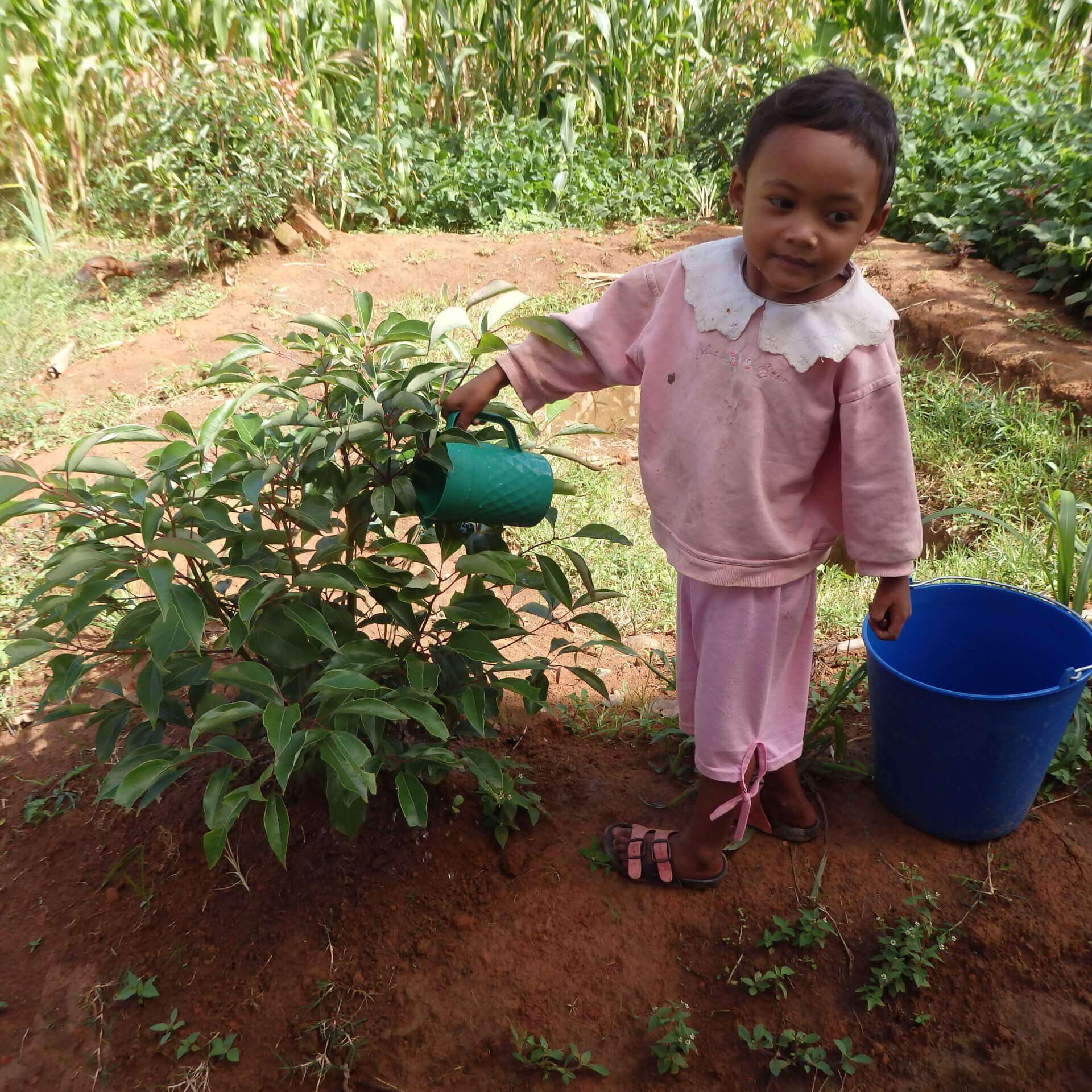 Le Lémurien - Maison de Madagascar