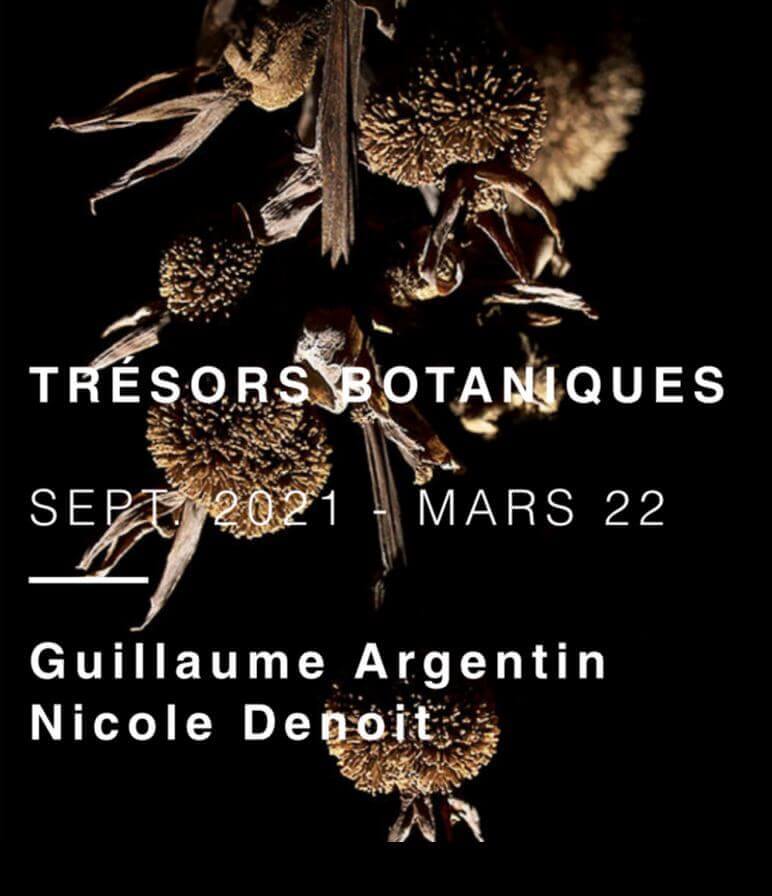 Exposition Trésors botaniques | Vivant·e !