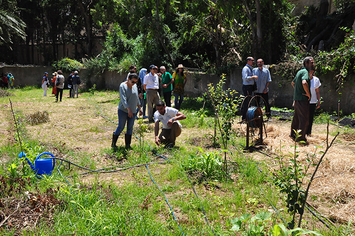 L'agroécologie fait des émules en Algérie | Babelmed