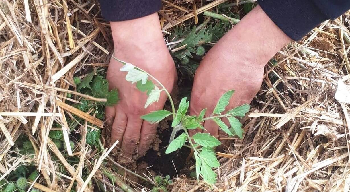 (Re)Prendre la terre | Babelmed