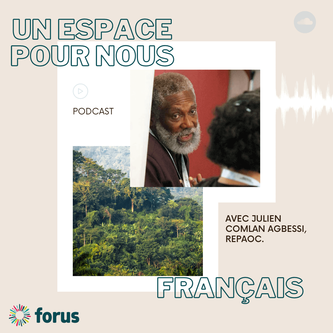 FR - Afrique de l'Ouest: numérisation, équilibre des pouvoirs et espace civique | Forus