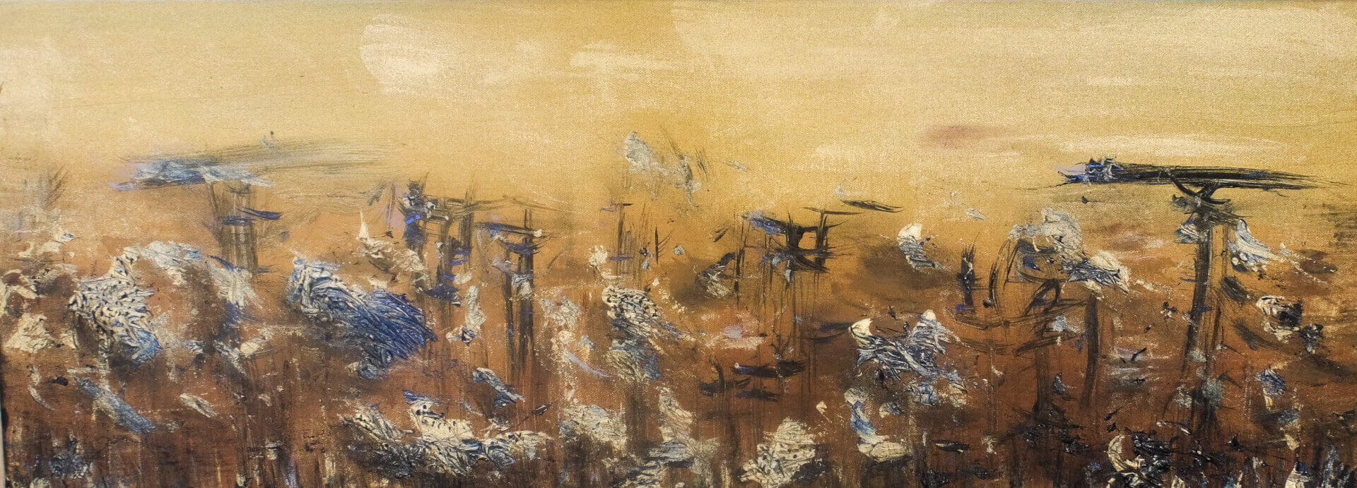 OMBRA DORATA | SIR Cenote