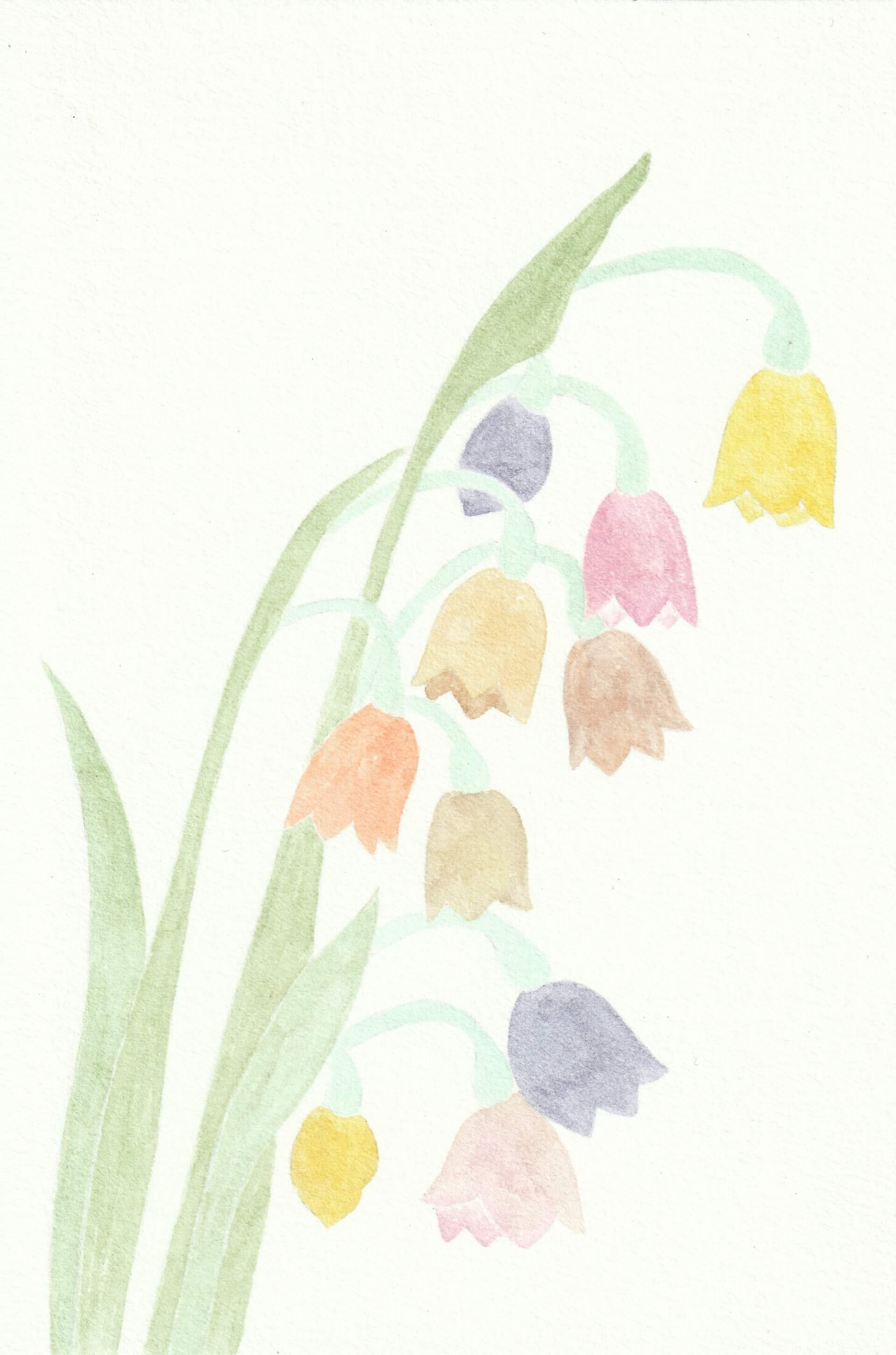 Muguet | christophe-henry