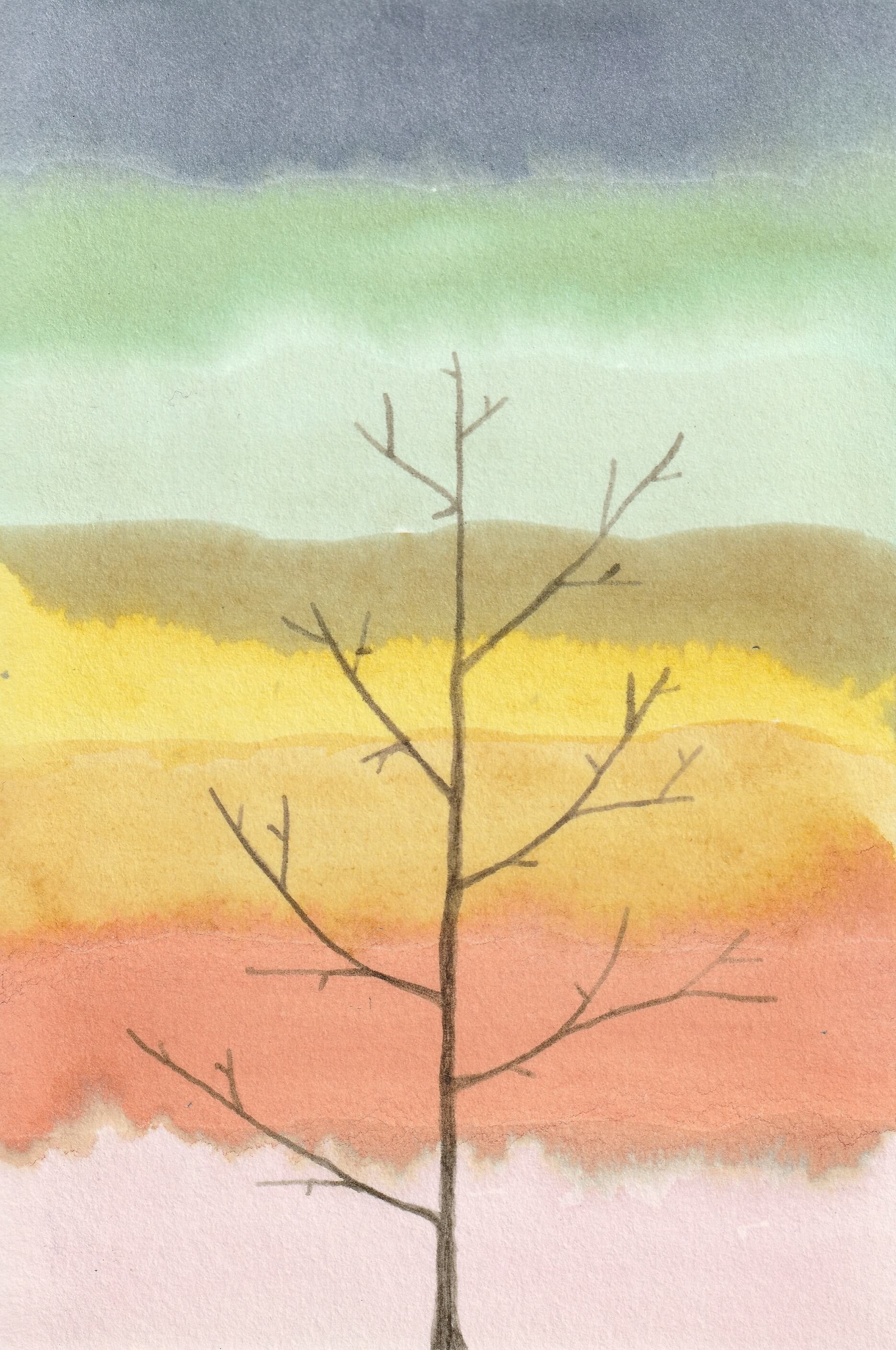 6x7 H | christophe-henry