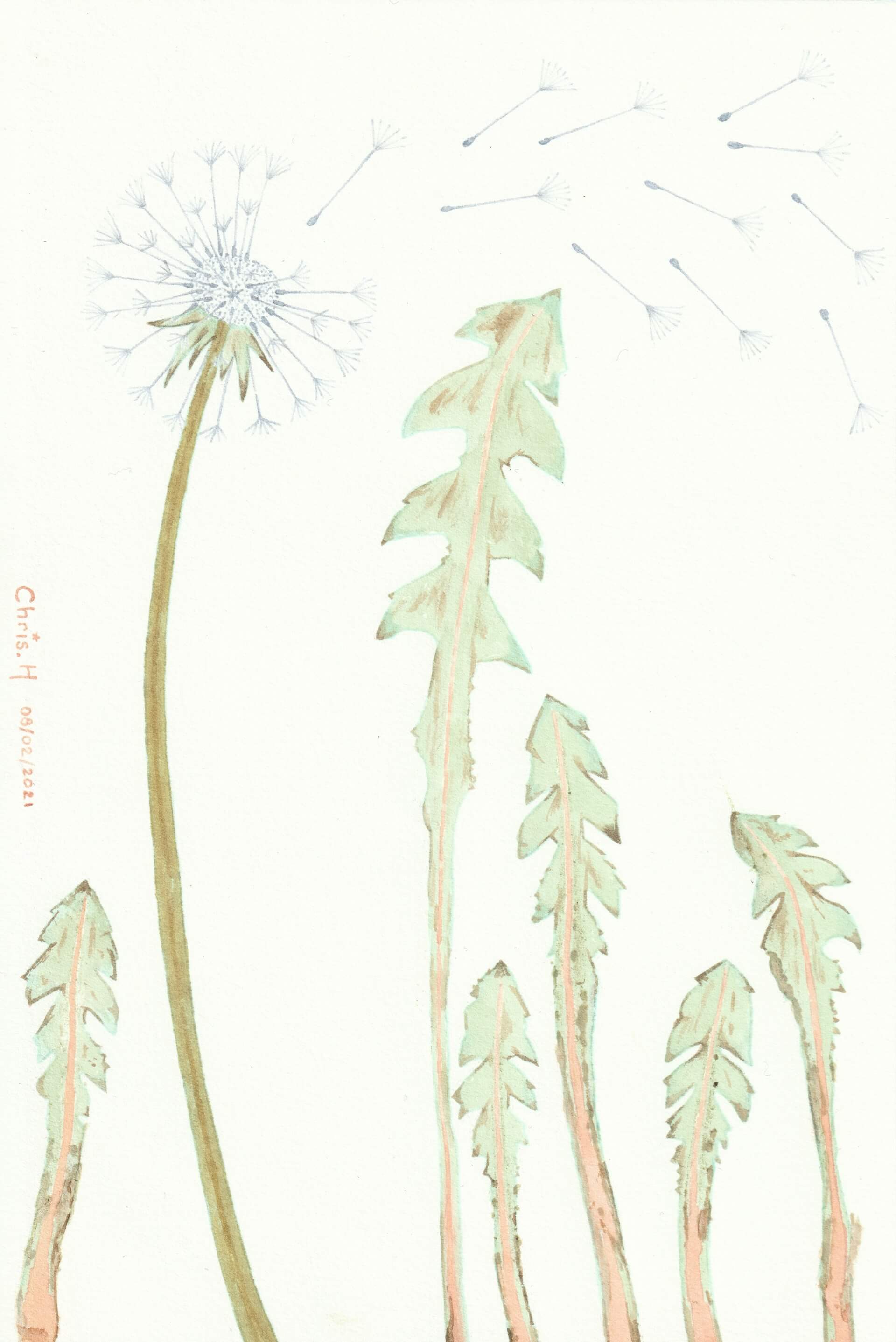 Sipenlit | christophe-henry