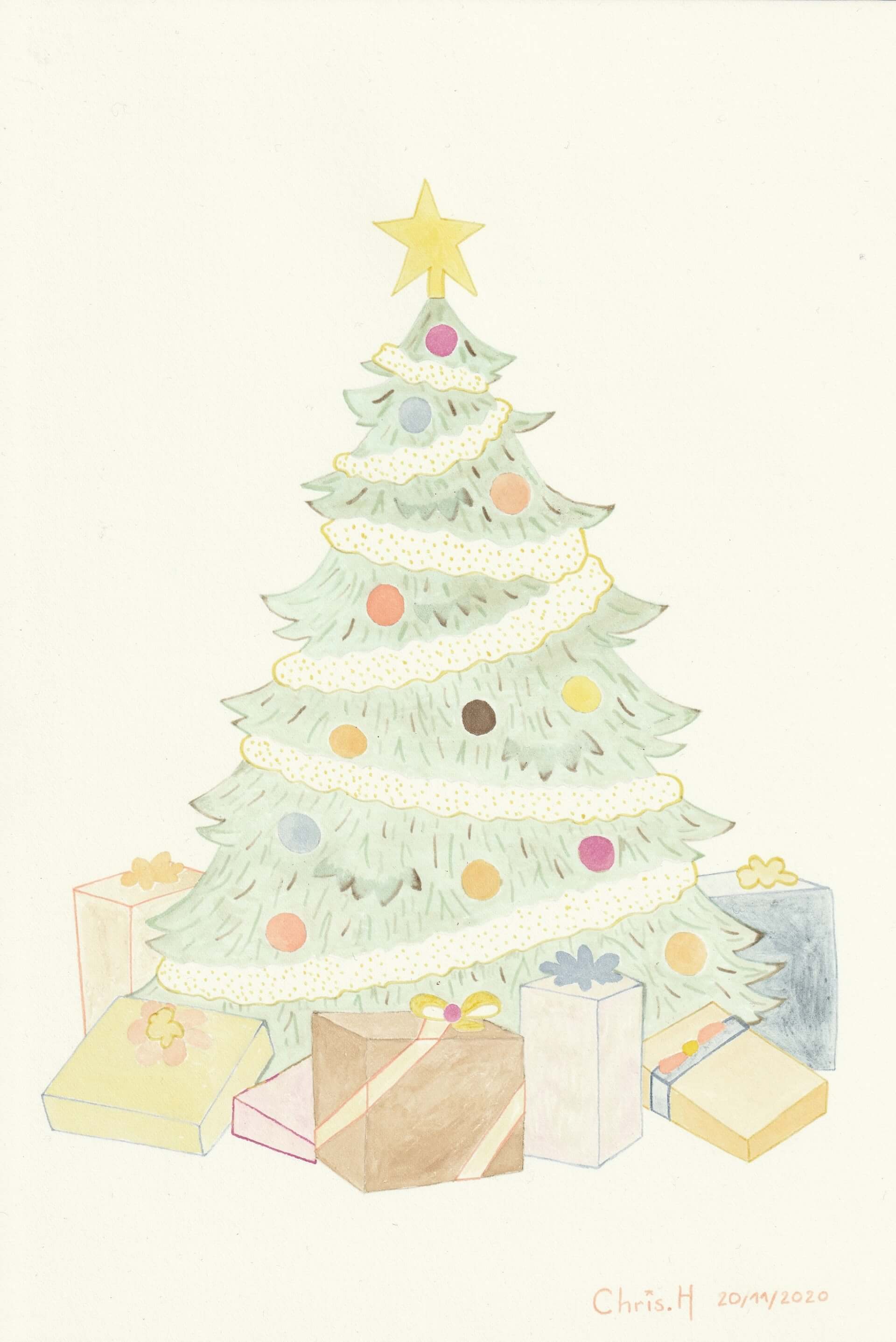 Sapin Noël | christophe-henry