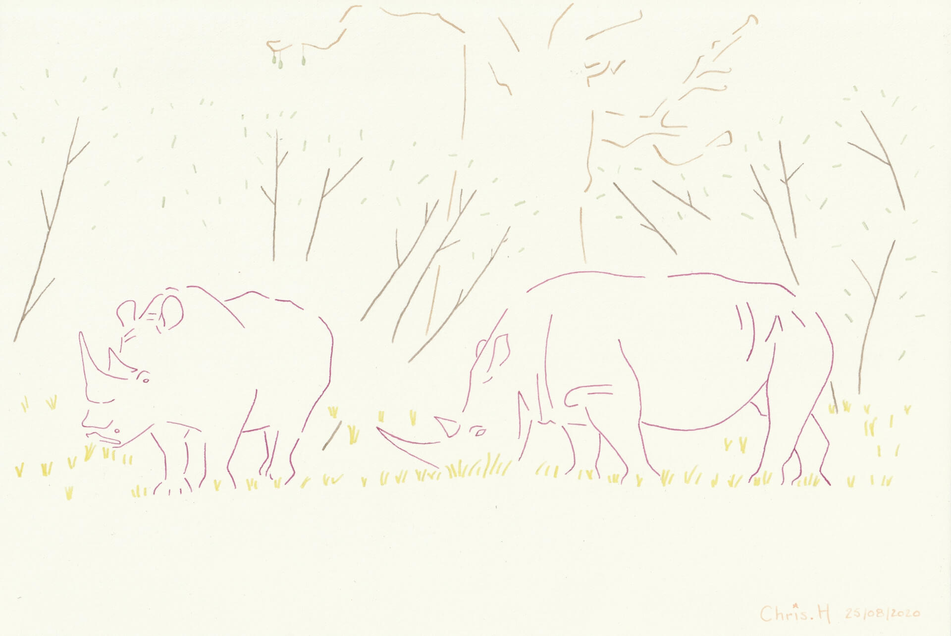 Rhinoféroces | christophe-henry