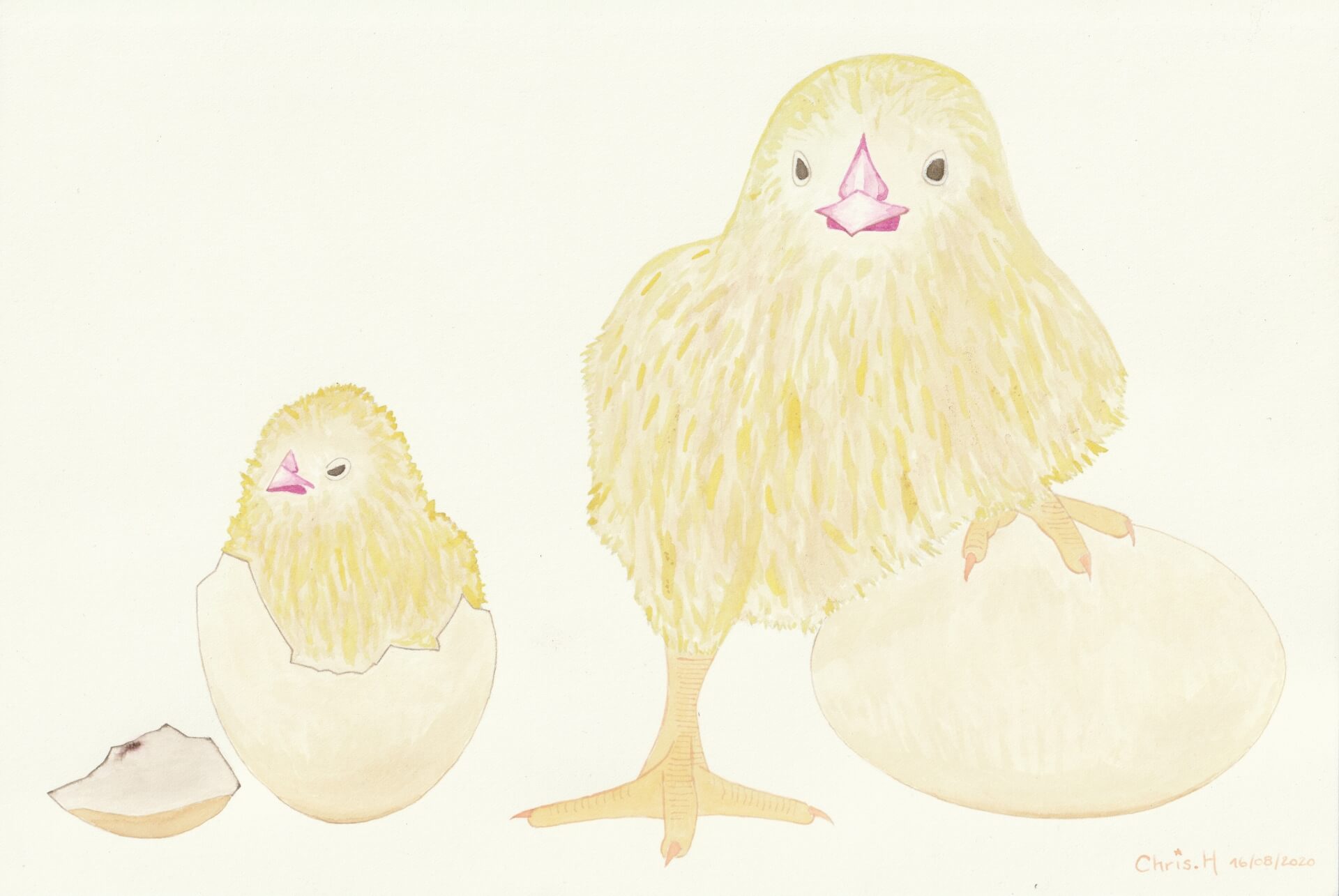 Pioupious | christophe-henry