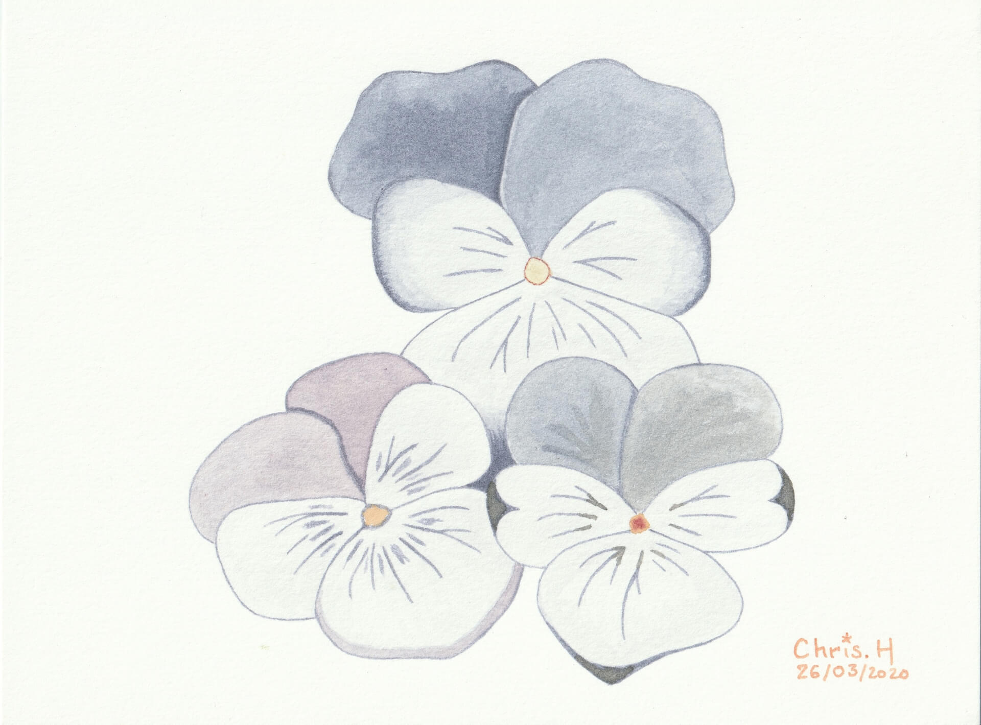 Pensées | christophe-henry