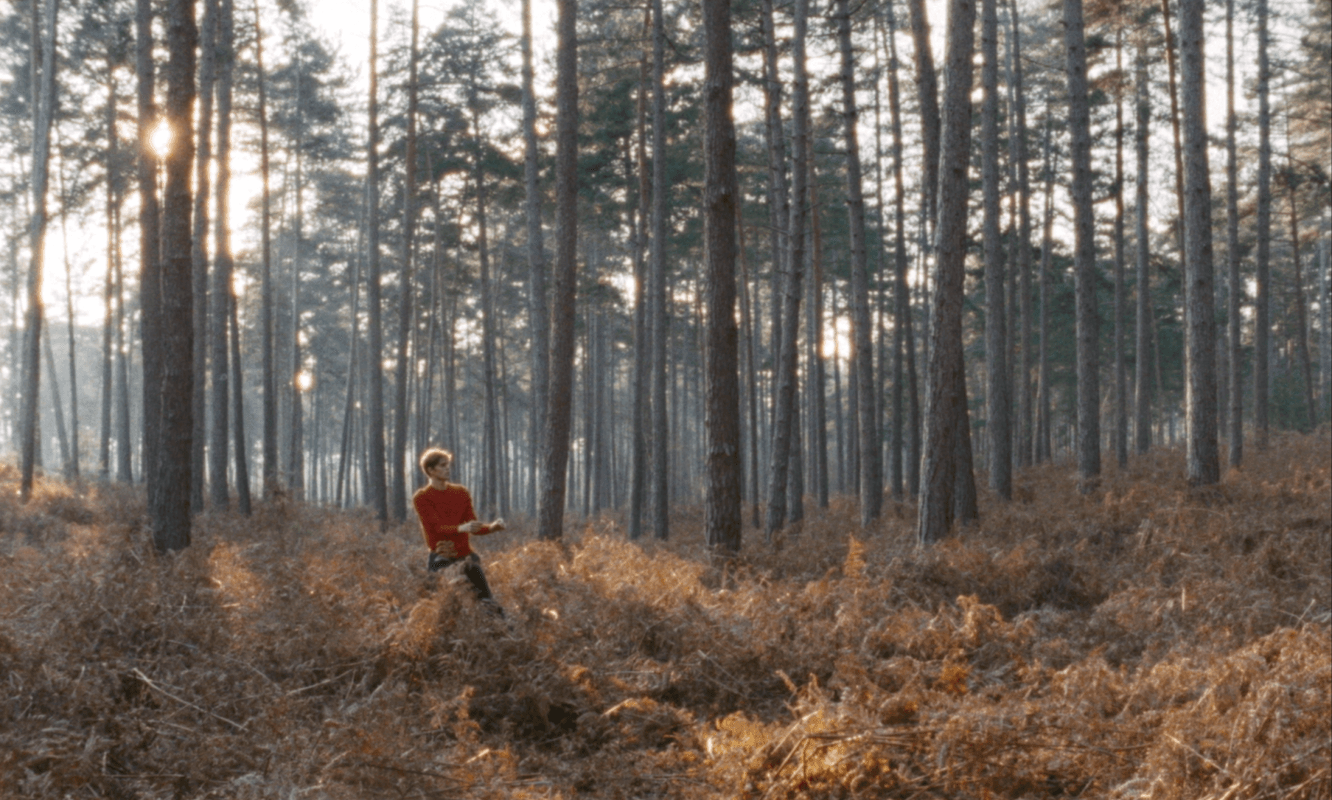 TRAQUE - Nowness - 2018