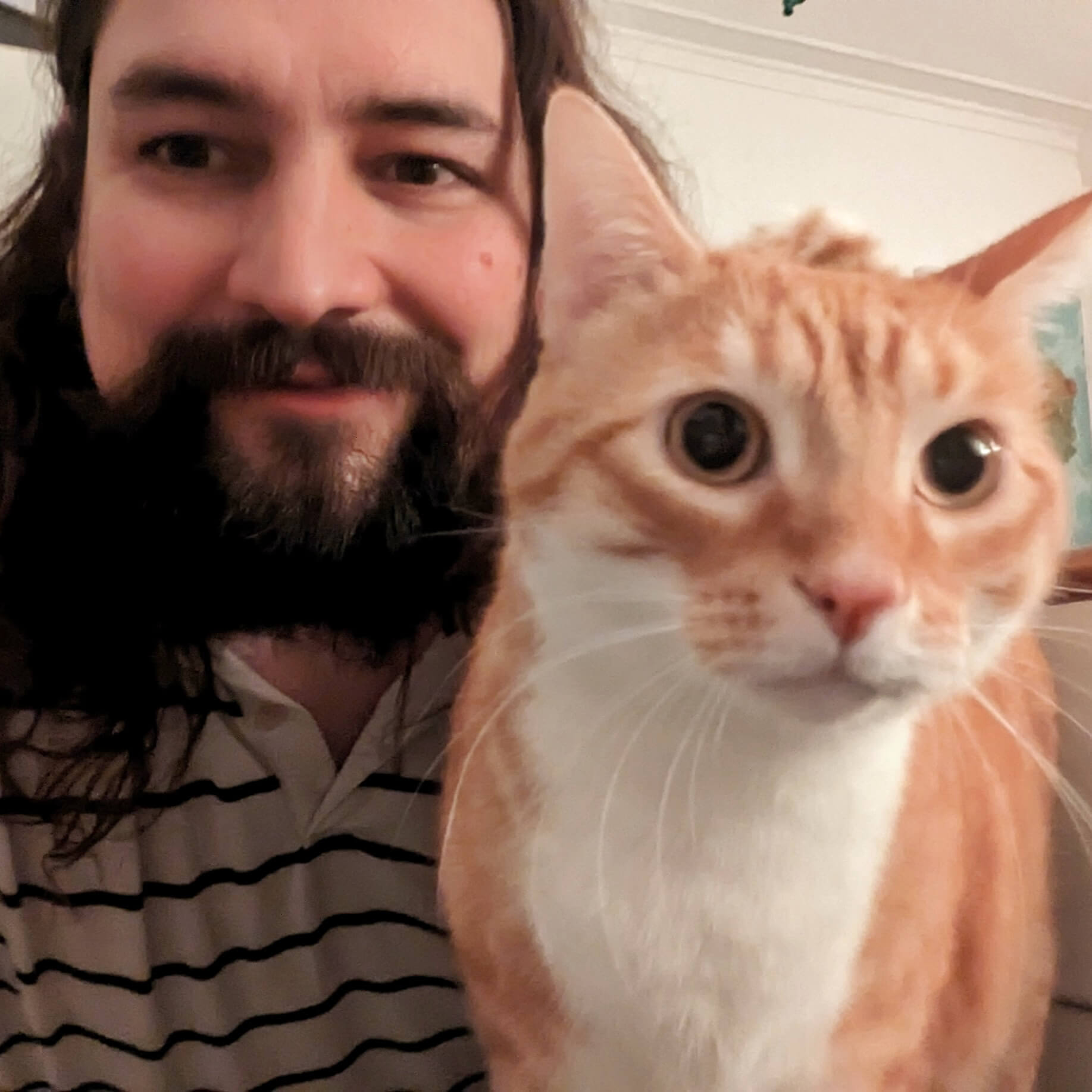 Looping, bénévole | Générations Cobayes