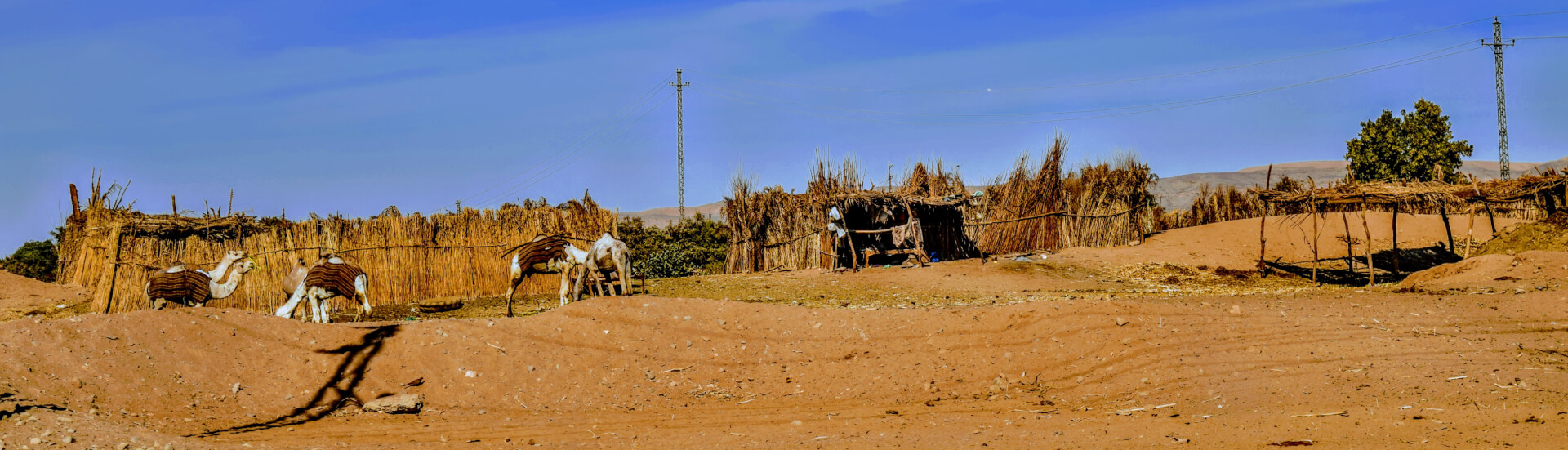 Égypte. « Le monde nous est devenu trop étroit » | Babelmed