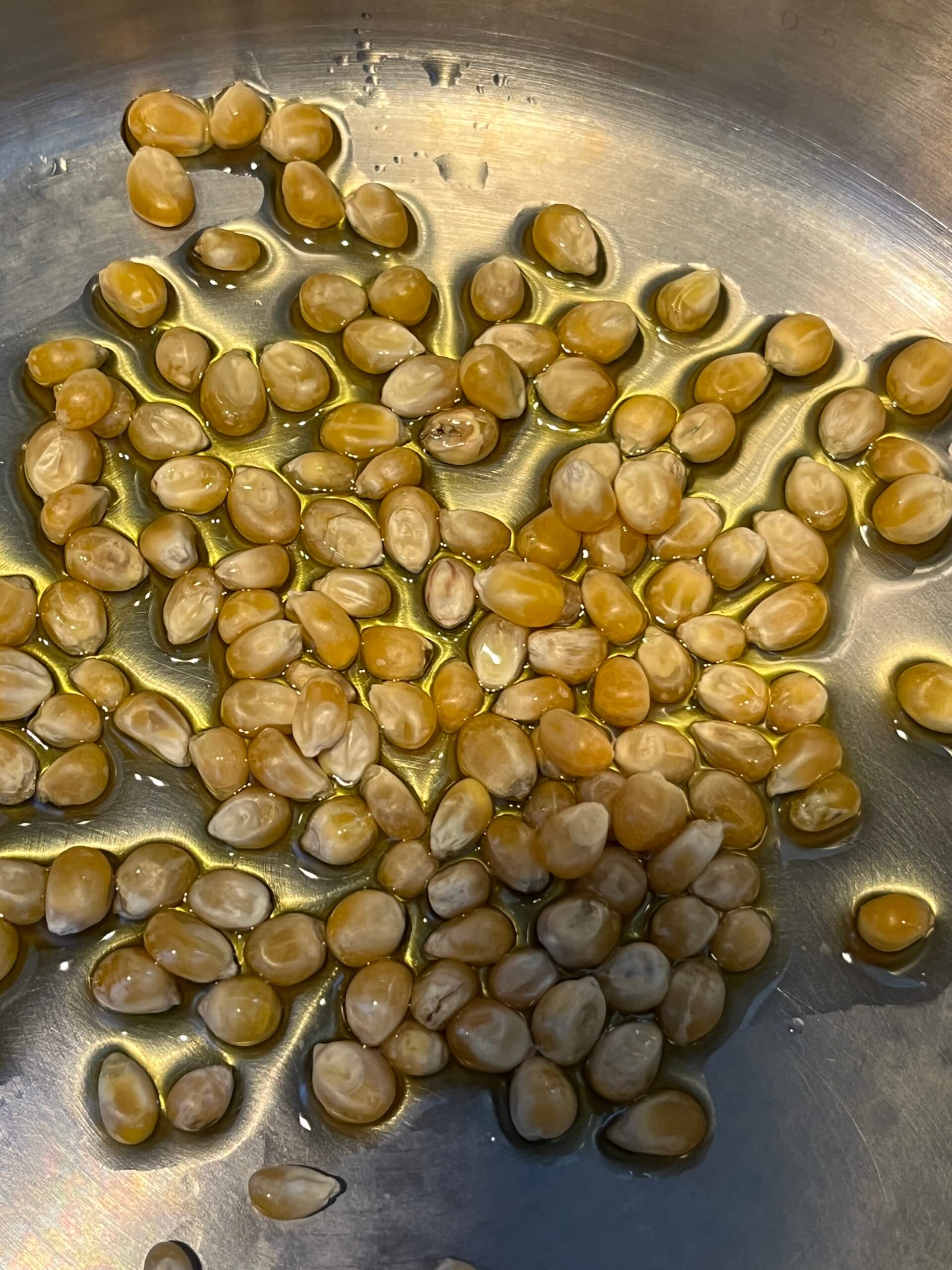 L'effet "POP-CORN" | FFSEG - Fédération Française de Synergie Énérgétique Gundhra