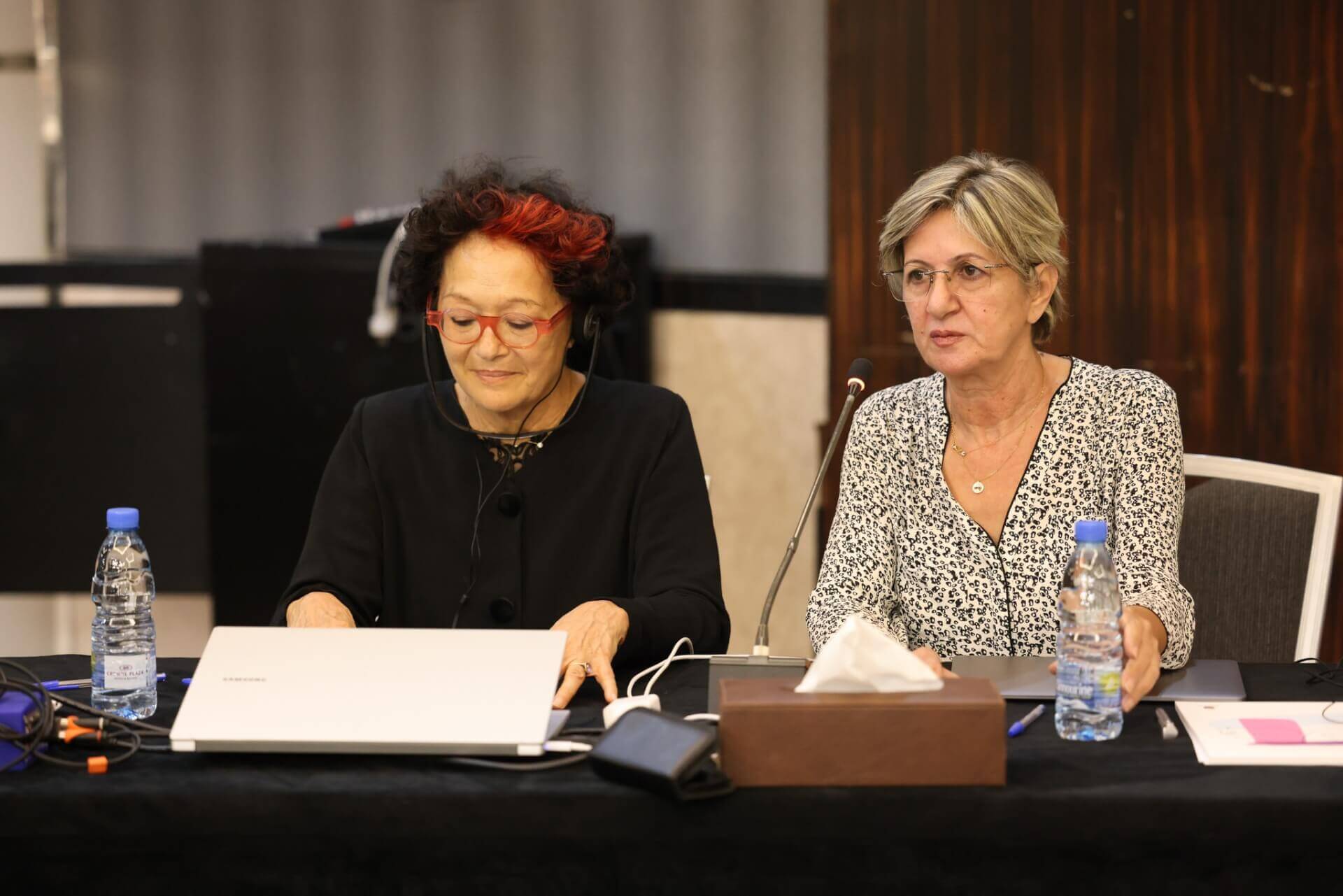Roundtable Meeting on the Regional Guidelines for the implementation of Women, Peace, and Security Agenda (WPSA) in the Southern Mediterranean | EFI - EuroMed Feminist Initiative