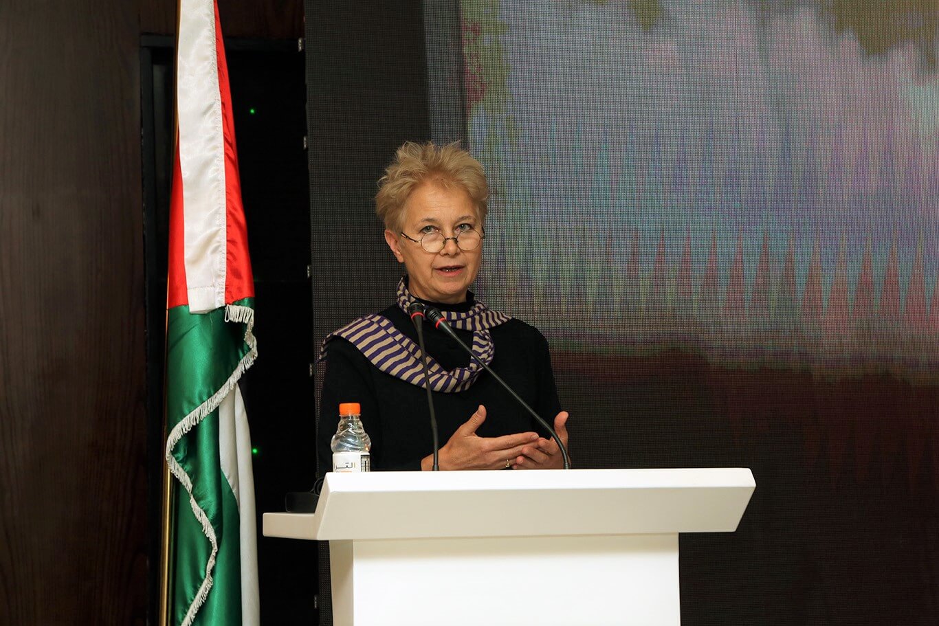 Launching the 2021 Regional Index on Violence against Women and Girls | EFI - EuroMed Feminist Initiative