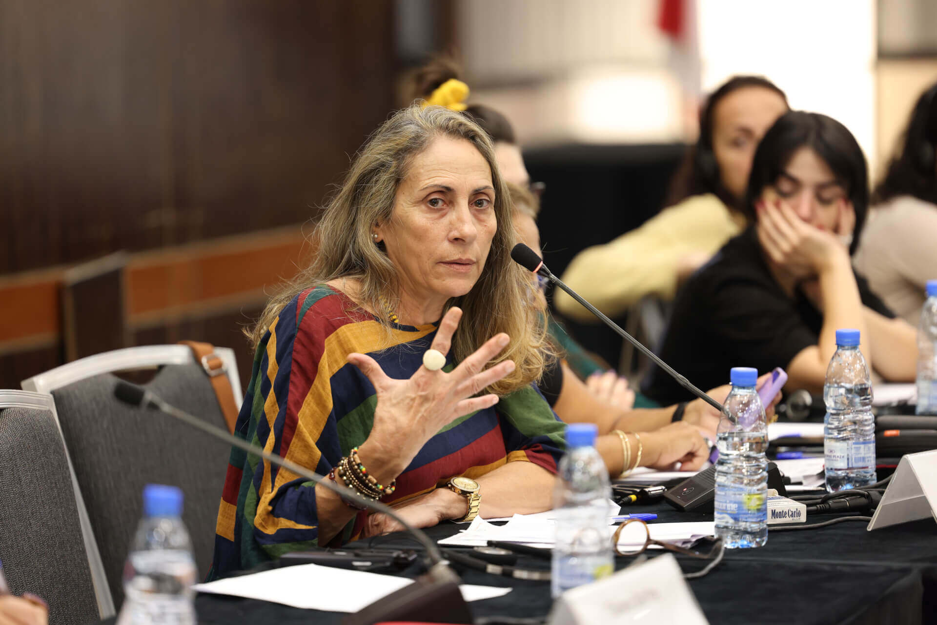 EFI - EuroMed Feminist Initiative