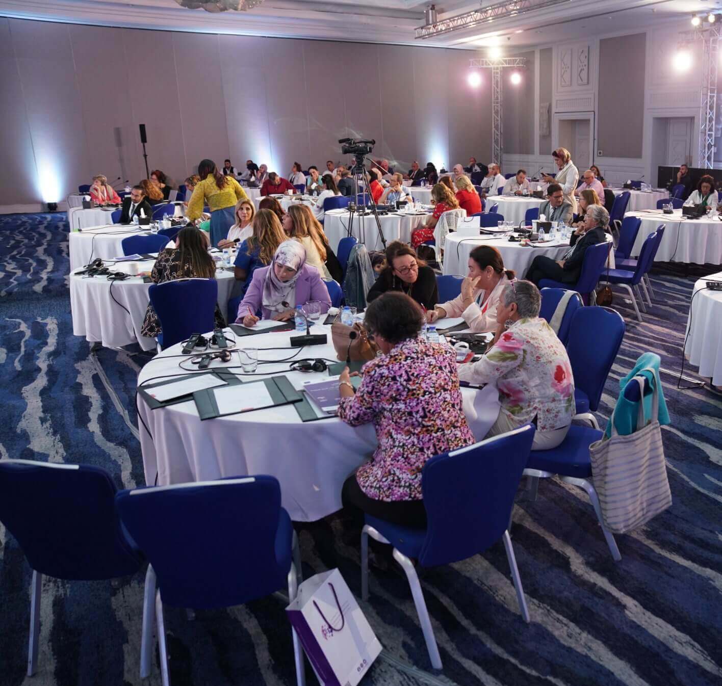 EFI - EuroMed Feminist Initiative