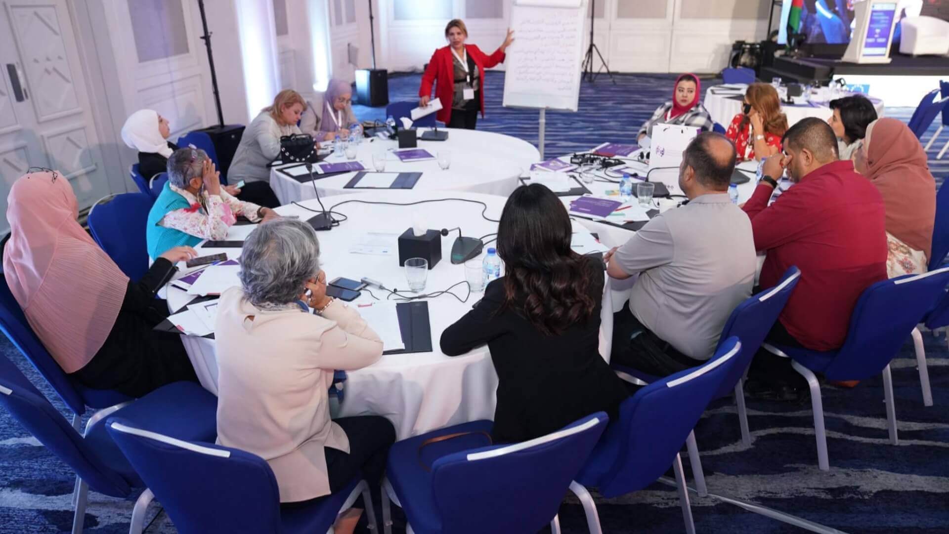 EFI - EuroMed Feminist Initiative