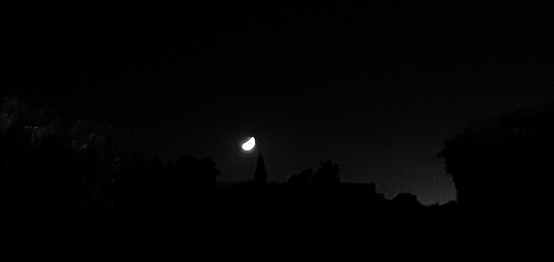 Sombres élections | Babelmed